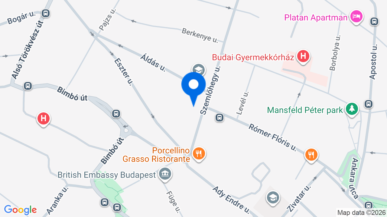 Térkép