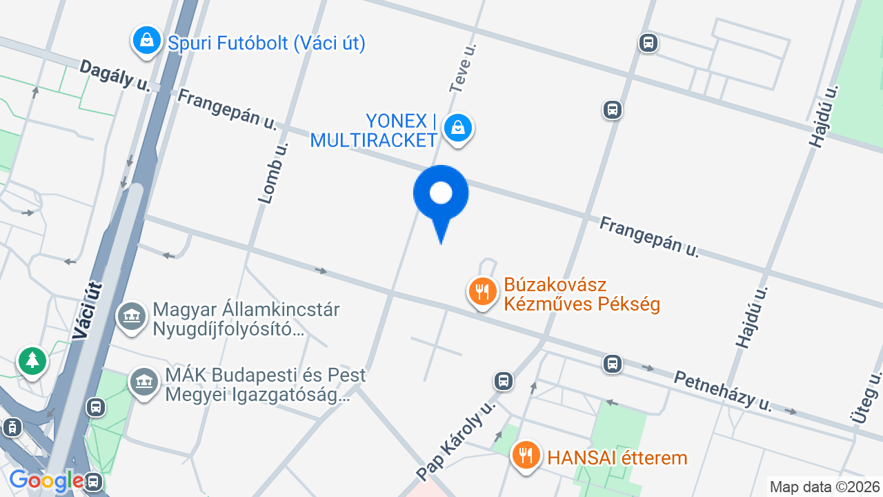 Térkép