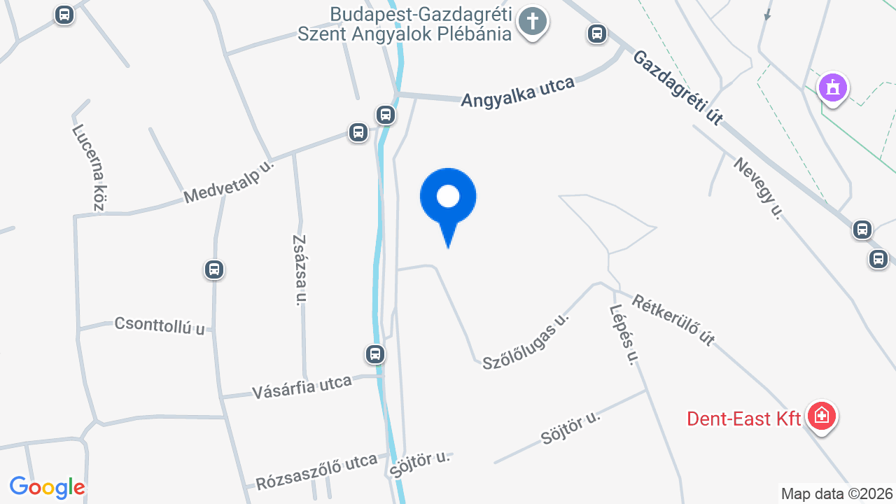 Térkép