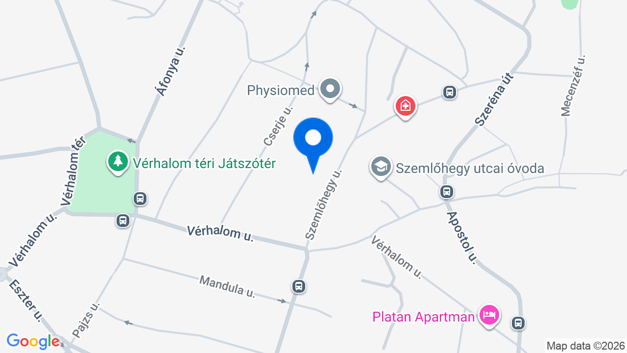 Térkép
