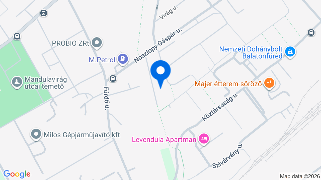 Térkép