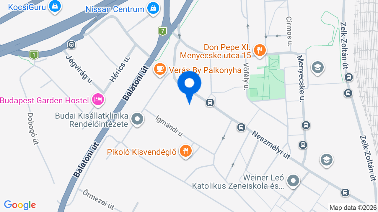 Térkép