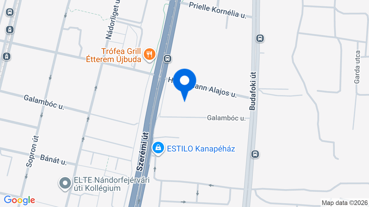 Térkép