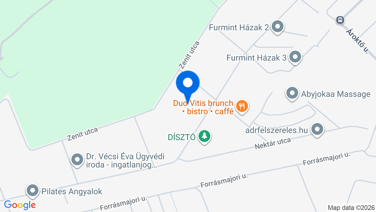 Térkép