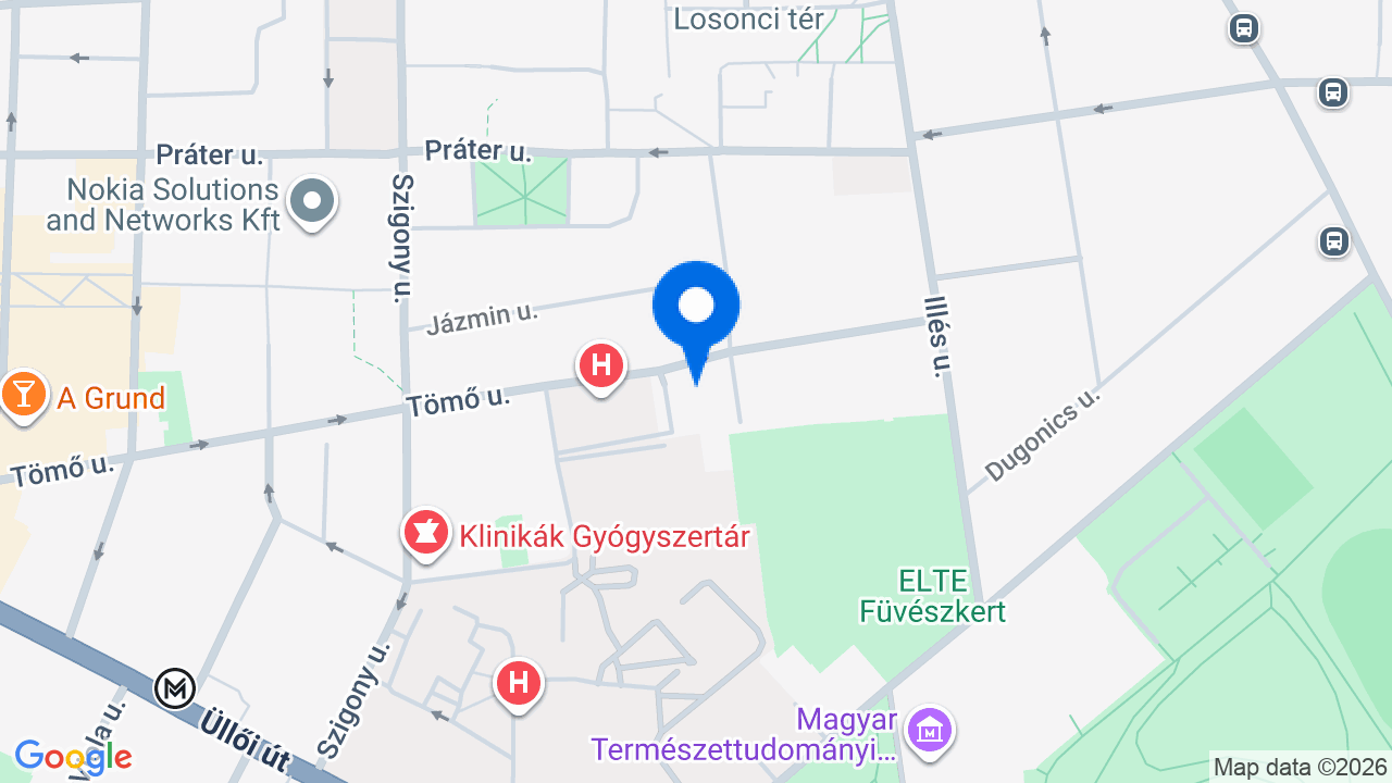 Térkép