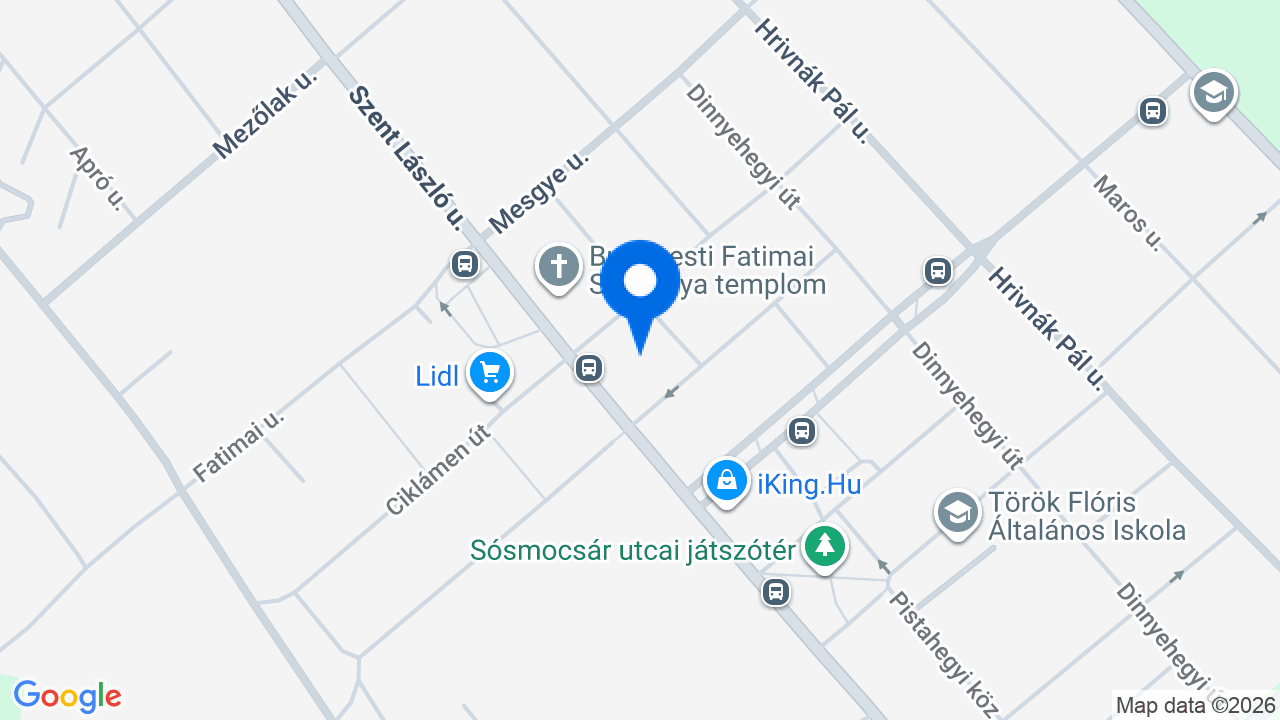Térkép