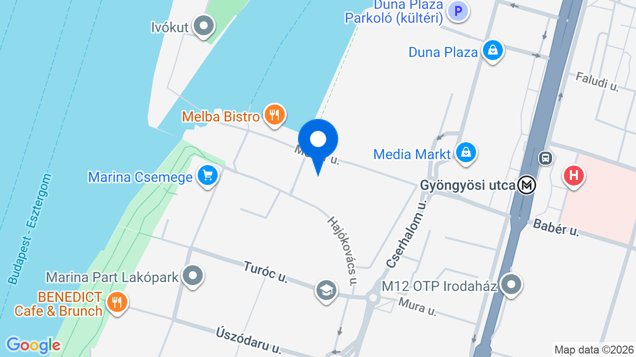 Térkép