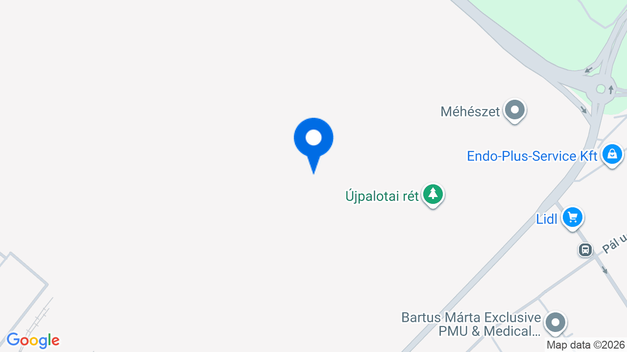 Térkép