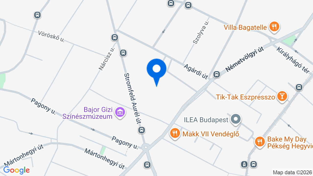Térkép