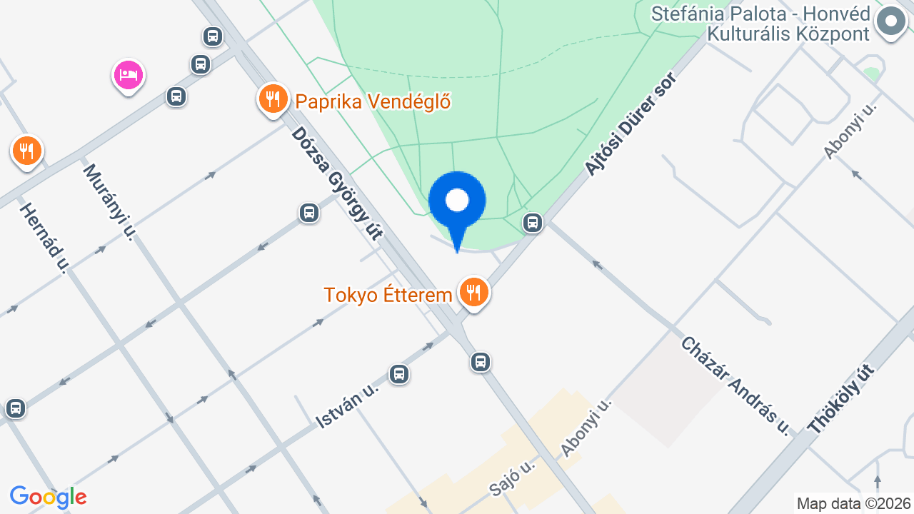 Térkép