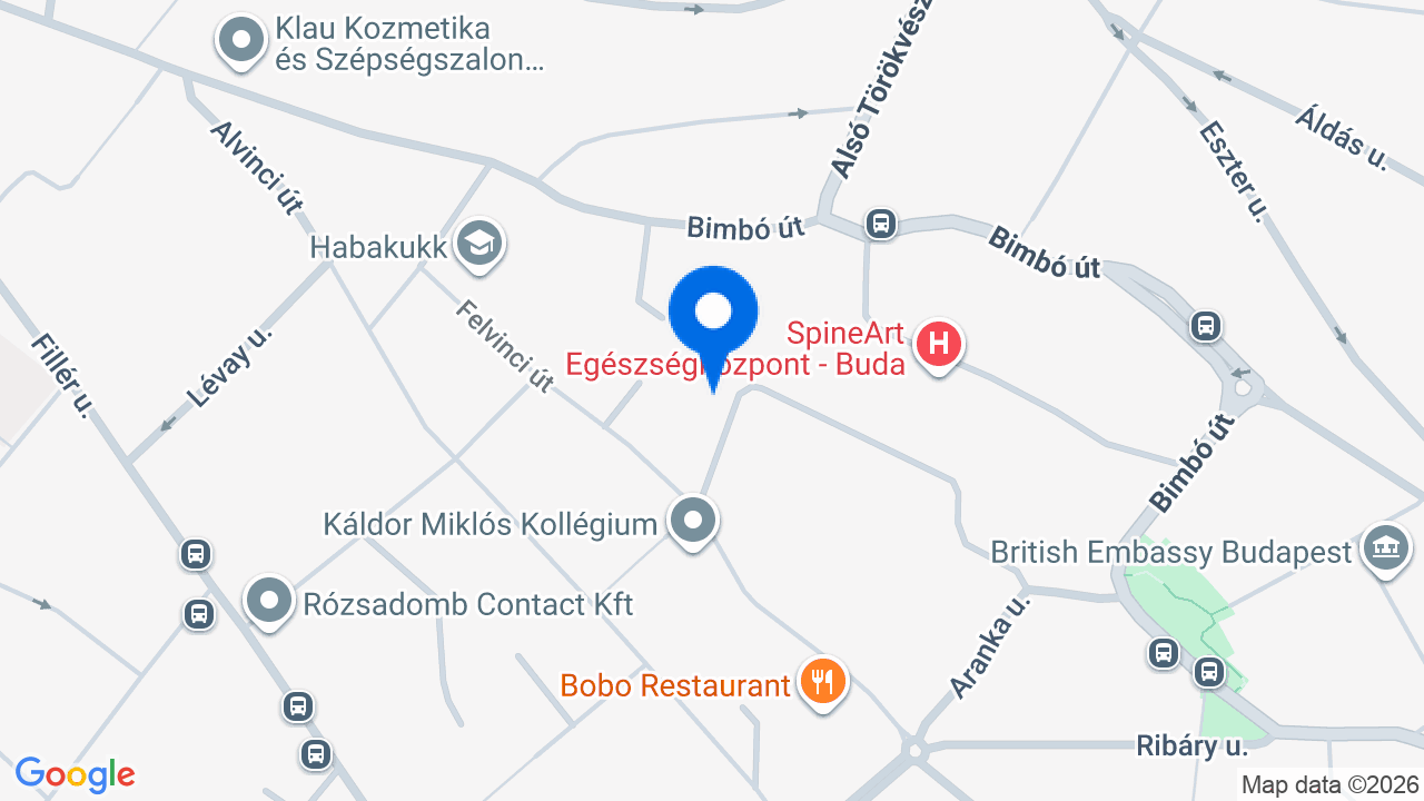 Térkép