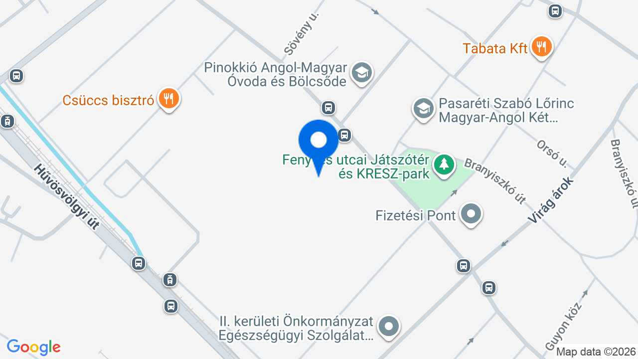 Térkép