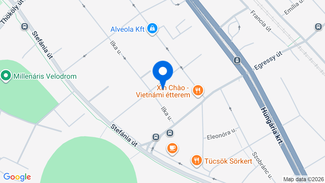 Térkép