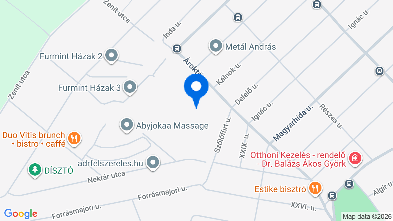 Térkép