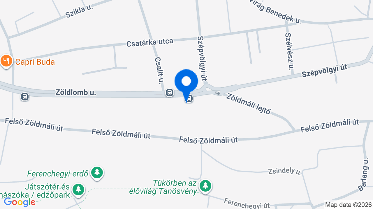 Térkép