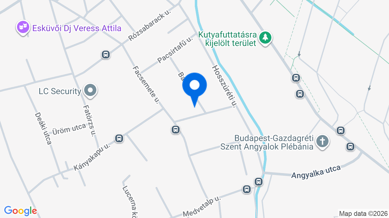 Térkép