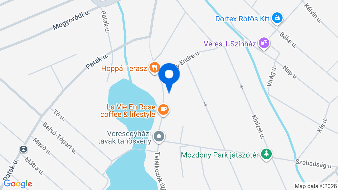 Térkép