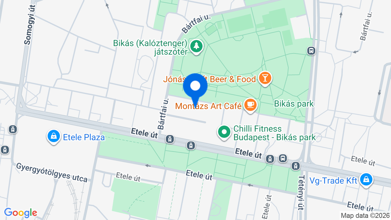 Térkép