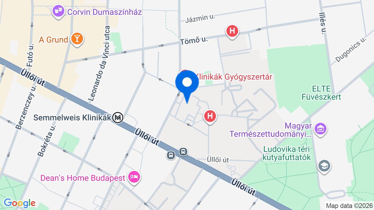 Térkép