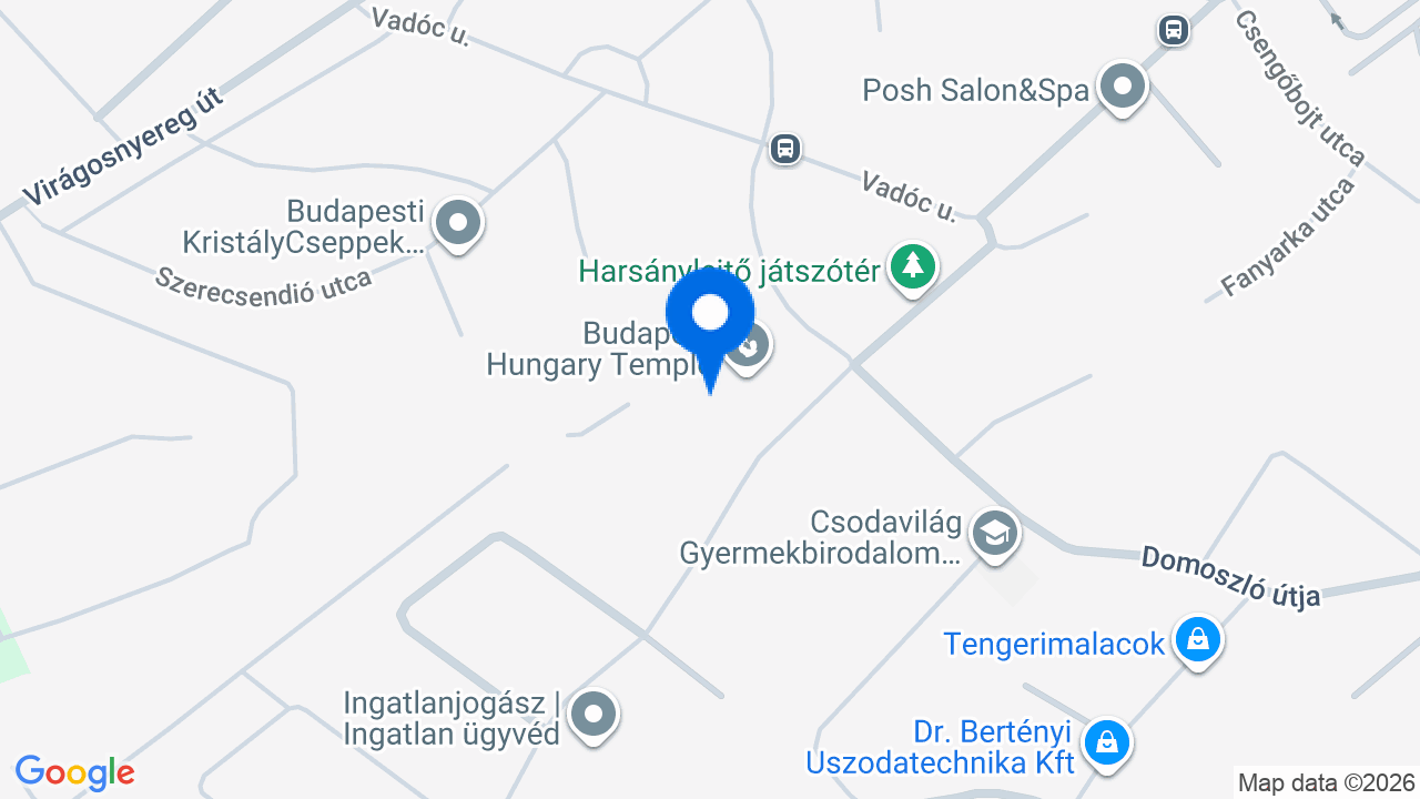 Térkép