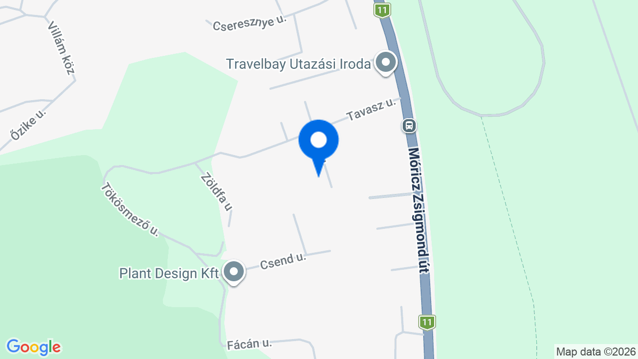 Térkép