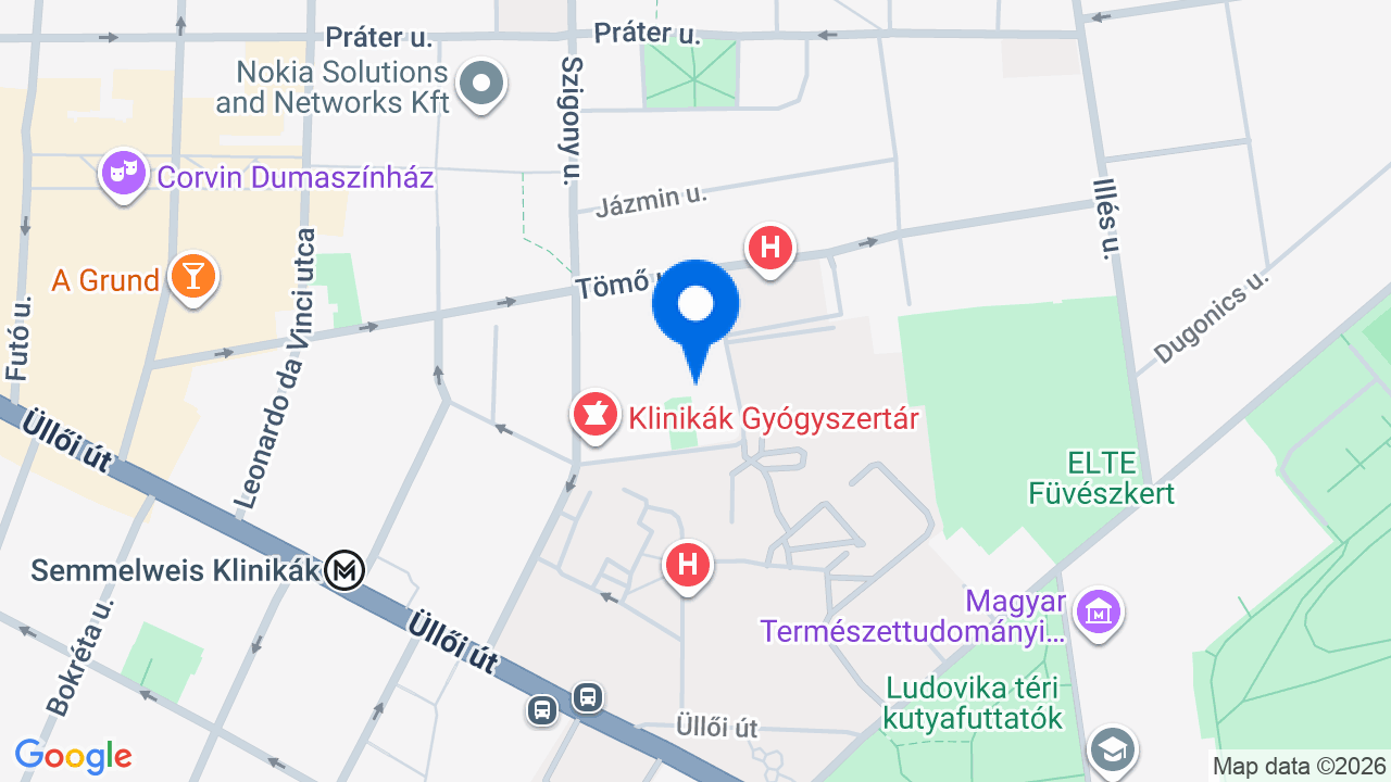 Térkép