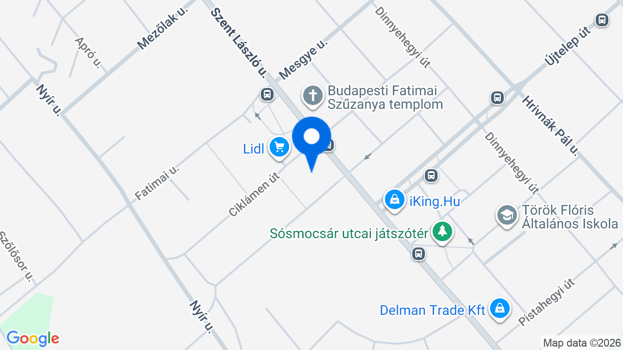 Térkép