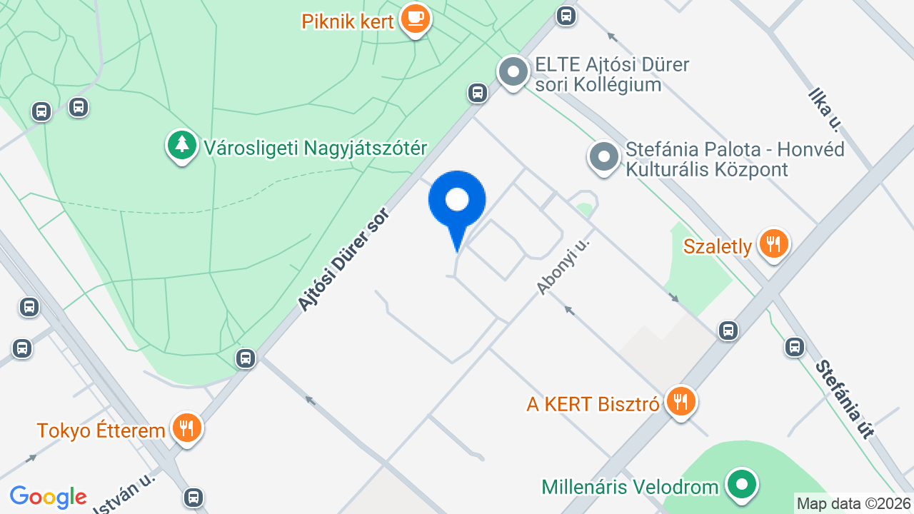 Térkép