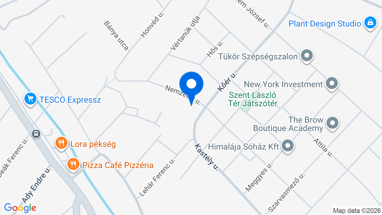 Térkép