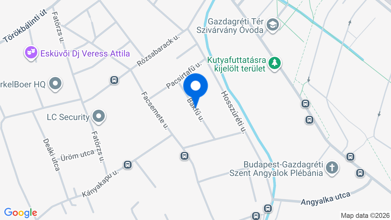 Térkép