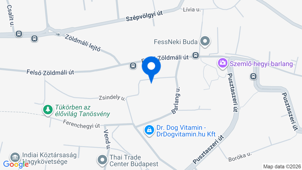 Térkép