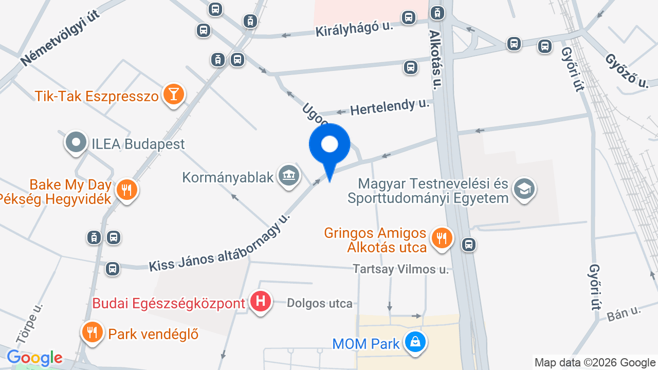 Térkép