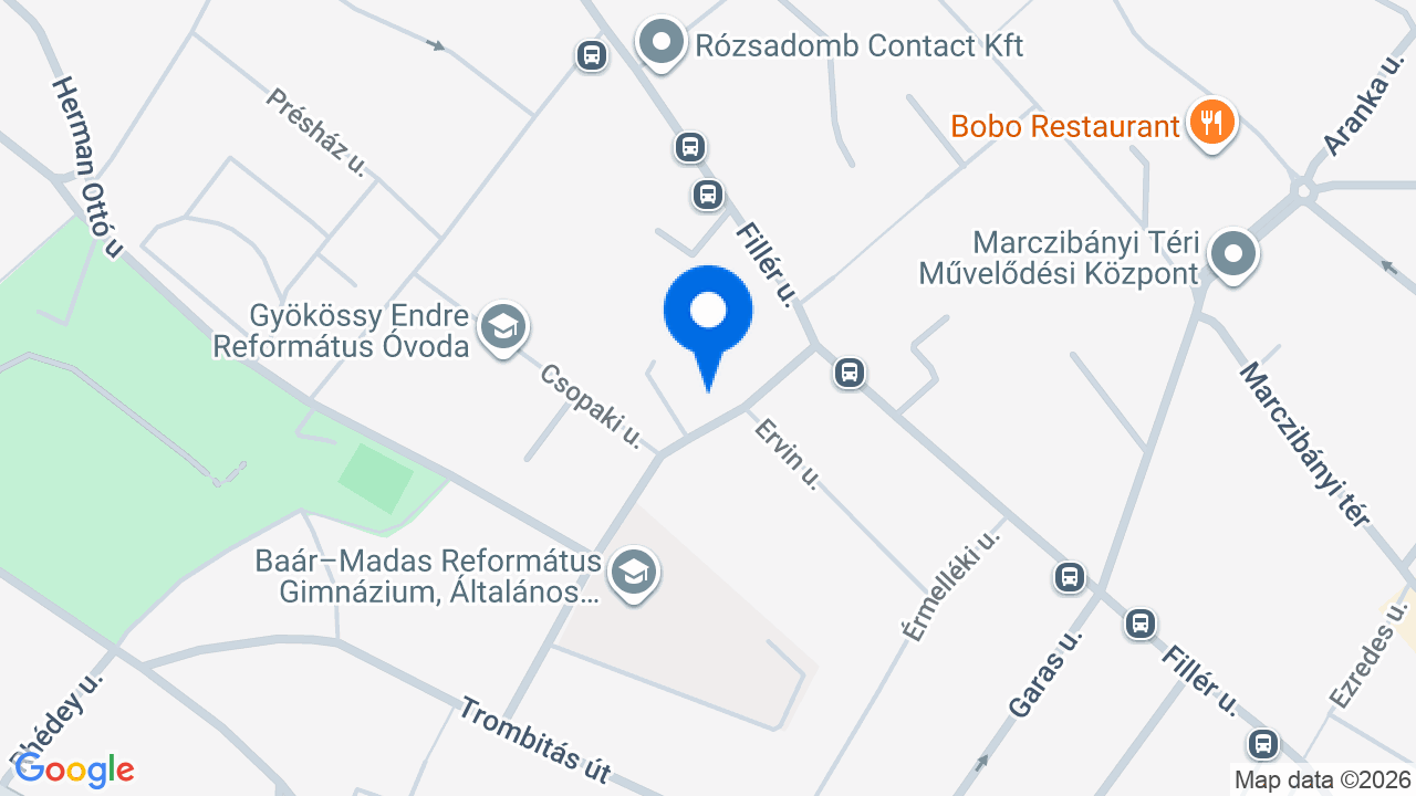 Térkép