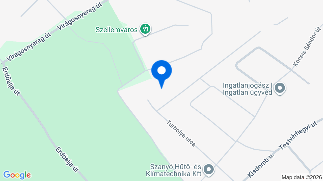 Térkép