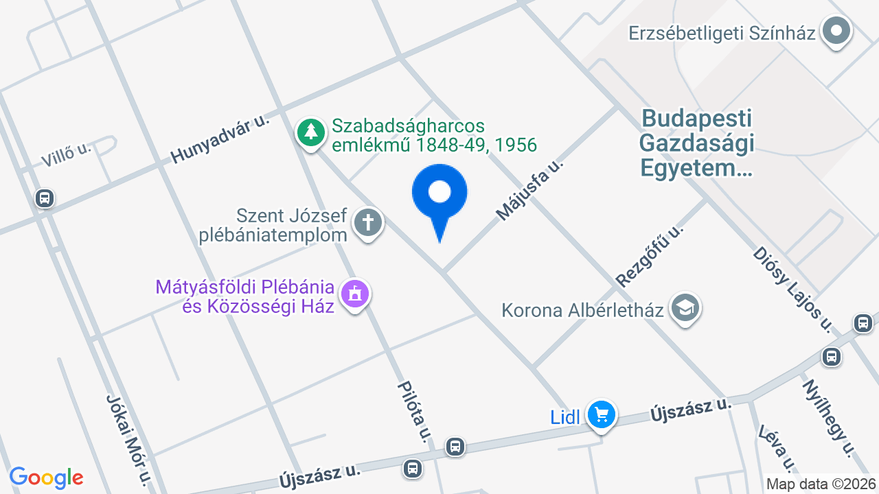 Térkép