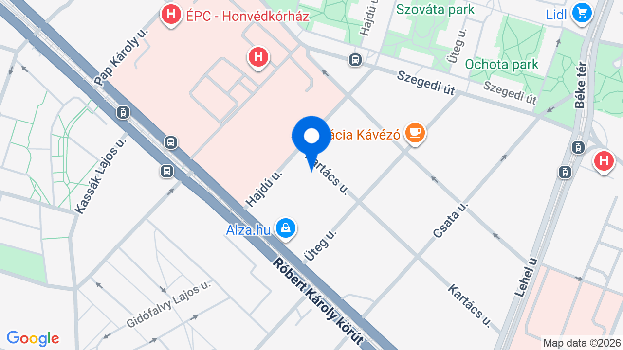 Térkép