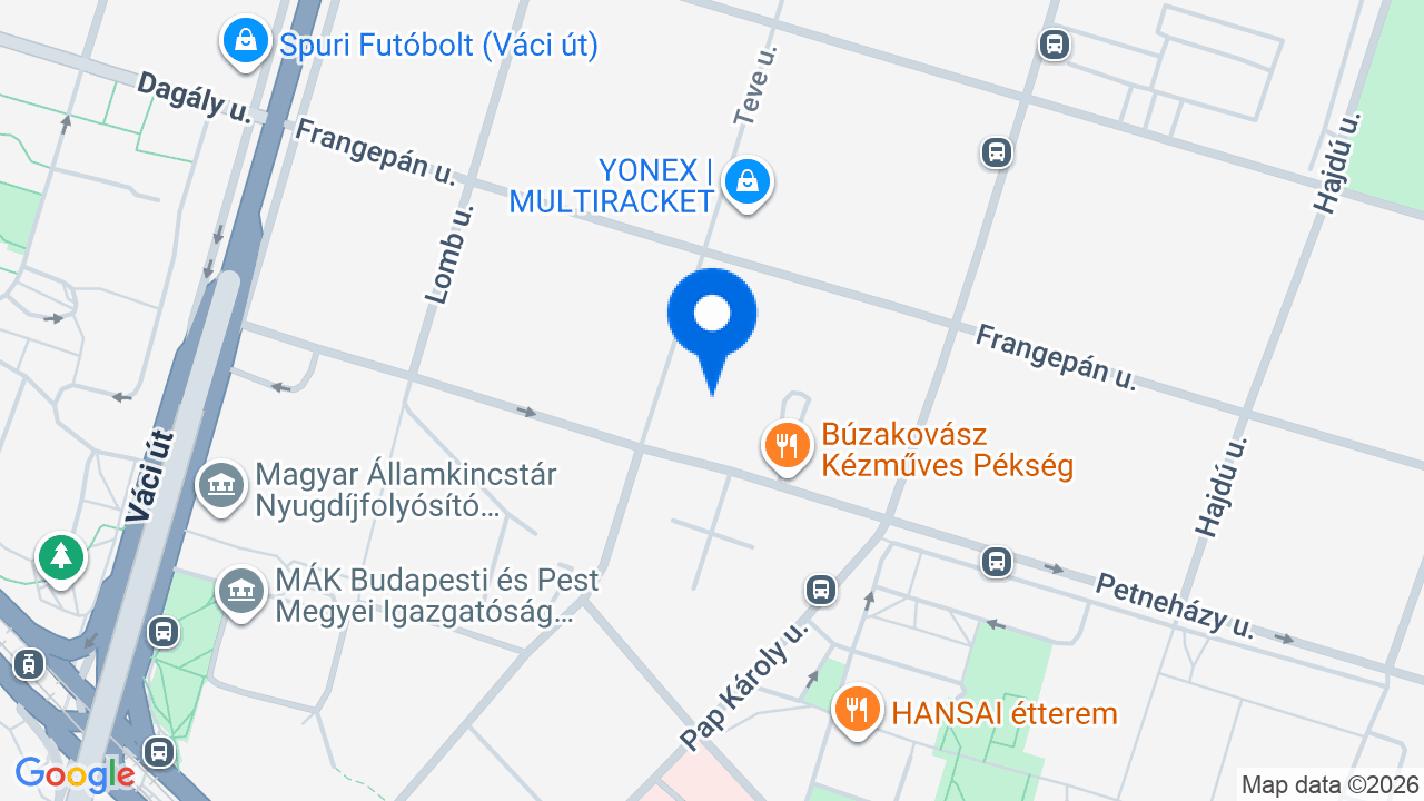 Térkép