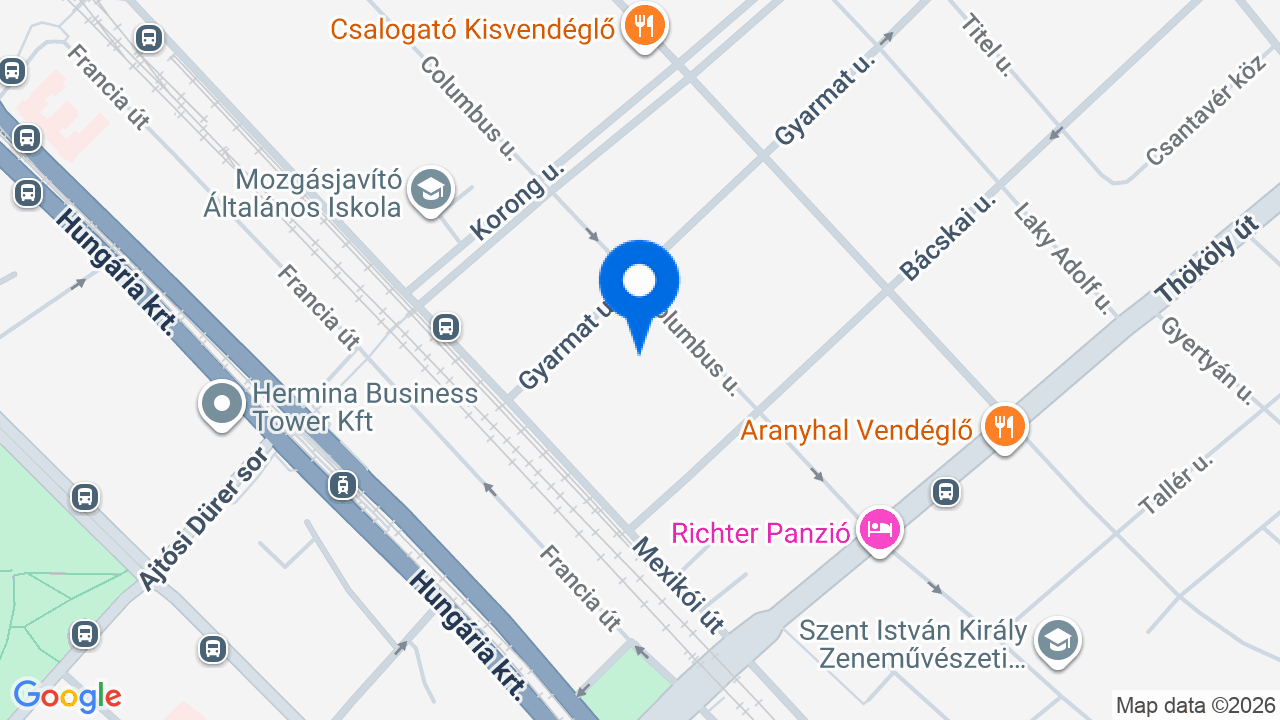 Térkép