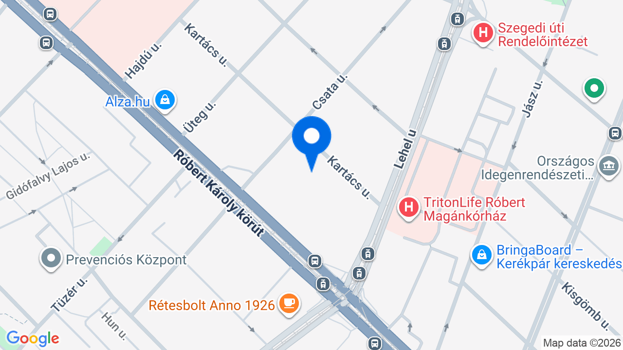 Térkép