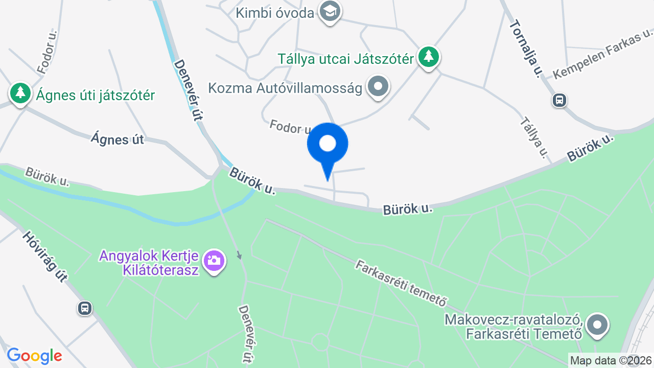 Térkép