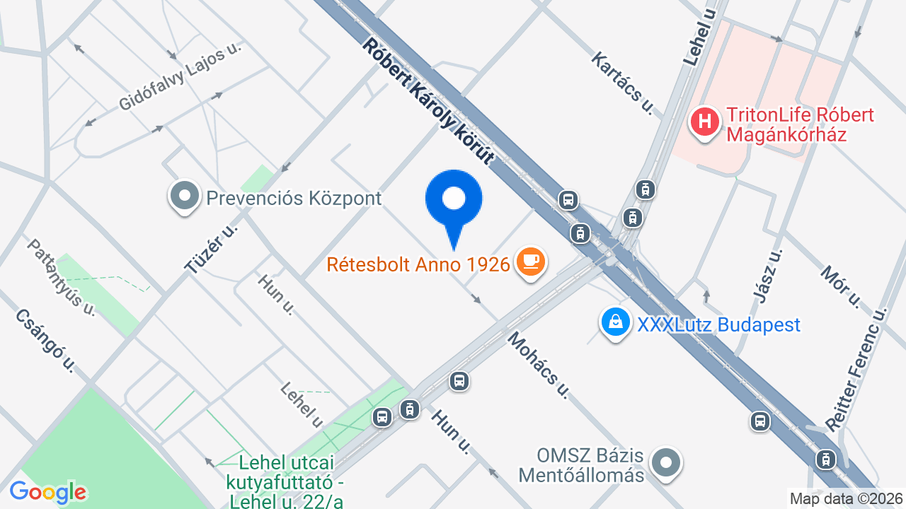 Térkép