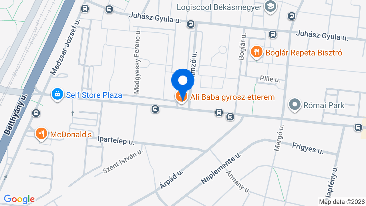 Térkép