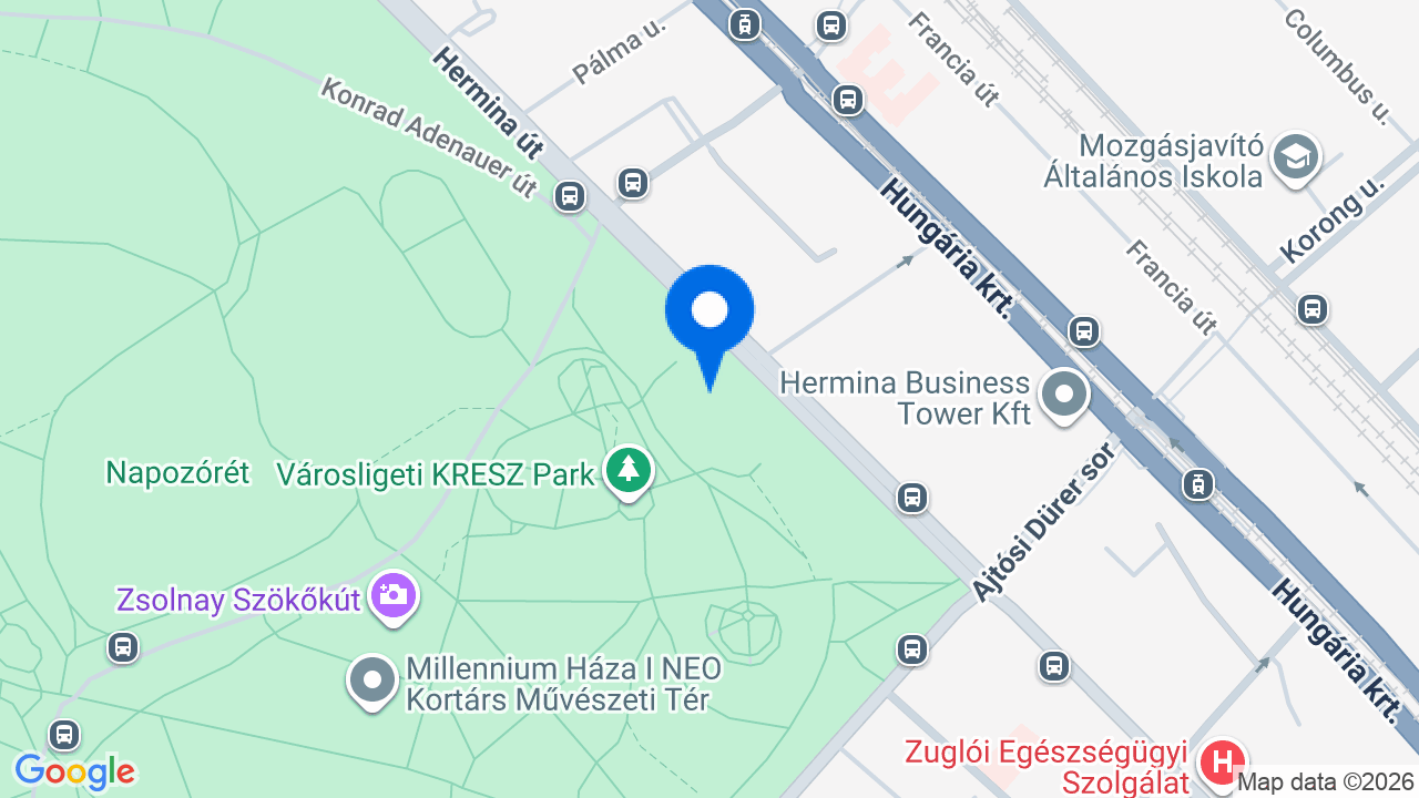 Térkép