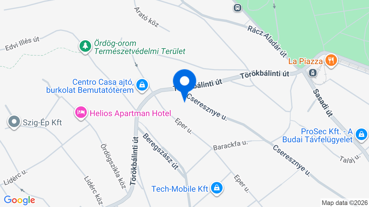Térkép