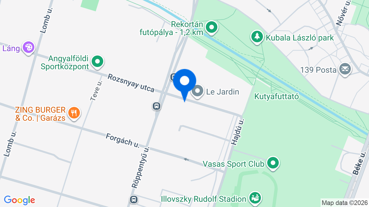 Térkép